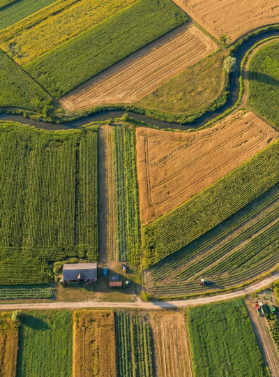 Gemini_Generated_Image_tmnhlotmnhlotmnh